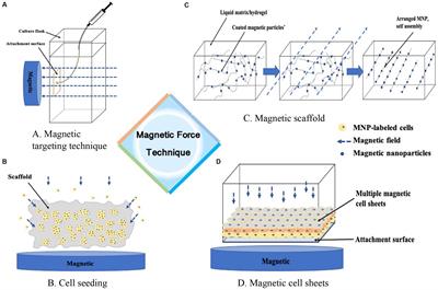 Magnetically Actuated Manipulation and Its Applications for Cartilage Defects: Characteristics and Advanced Therapeutic Strategies